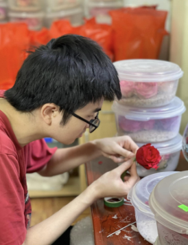 Hoa tươi bất tử 4